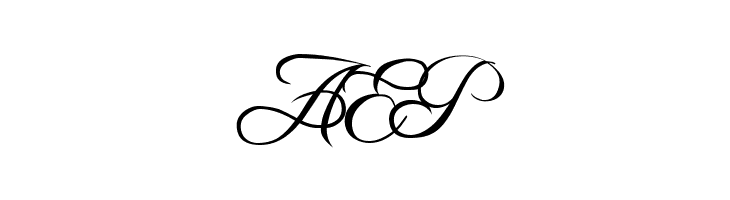 Freebooter Script  Free Fonts Download