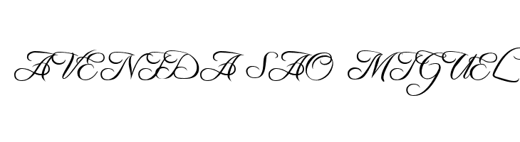 Freebooter Script  Free Fonts Download