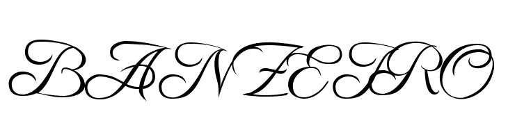 Freebooter Script  Free Fonts Download