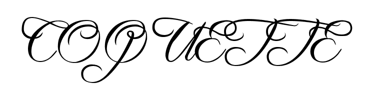 Freebooter Script  Free Fonts Download