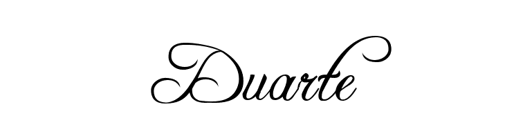 Freebooter Script  Free Fonts Download