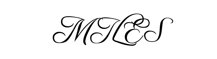 Freebooter Script  Free Fonts Download