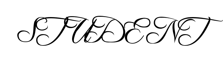 Freebooter Script  Free Fonts Download