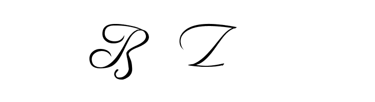 Freebooter Script - Alts  Free Fonts Download