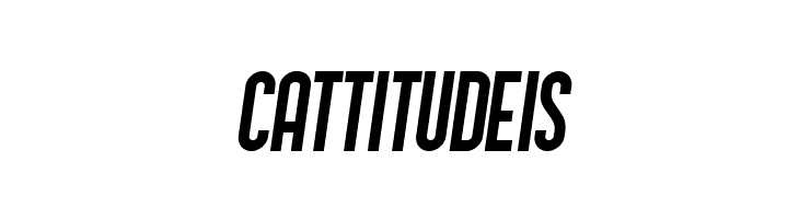 Schwarzenberg Italic  Free Fonts Download