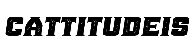 Ana Grunged Italic  Free Fonts Download