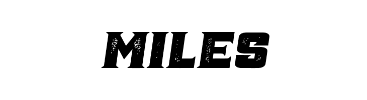 Ana Grunged Italic  Free Fonts Download