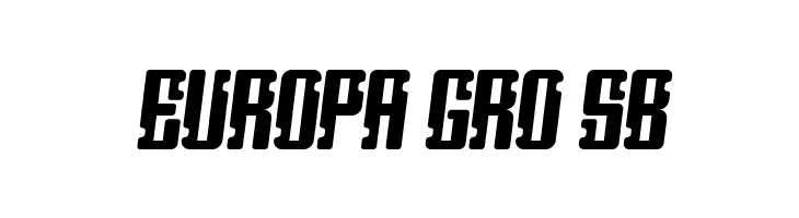 Heritage Book Italic  Free Fonts Download