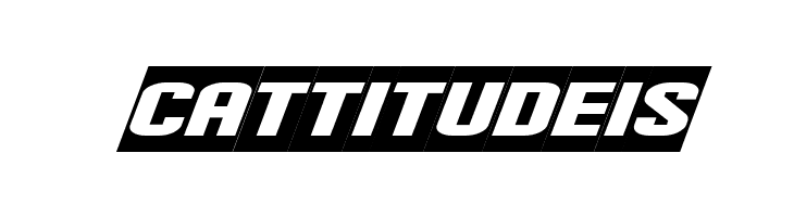 Flight 21 Regular  Free Fonts Download