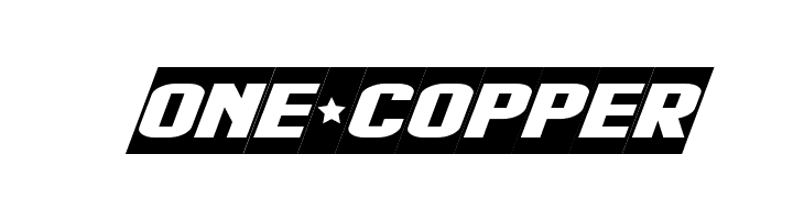 Flight 21 Regular  Free Fonts Download