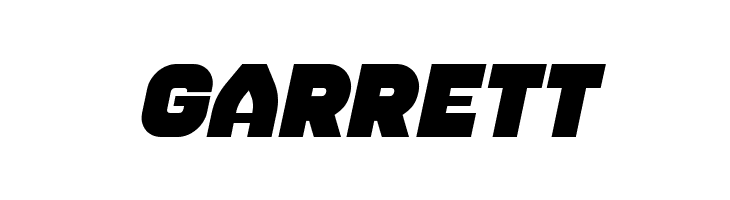 Housebreak Italic  Free Fonts Download