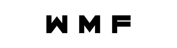 Cyber Princess Regular  Free Fonts Download