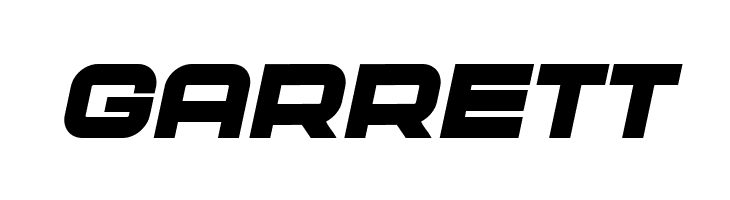 Cyber Princess Italic  Free Fonts Download