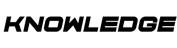 Cyber Princess Italic  Free Fonts Download