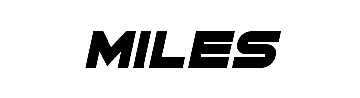 Cyber Princess Italic  Free Fonts Download