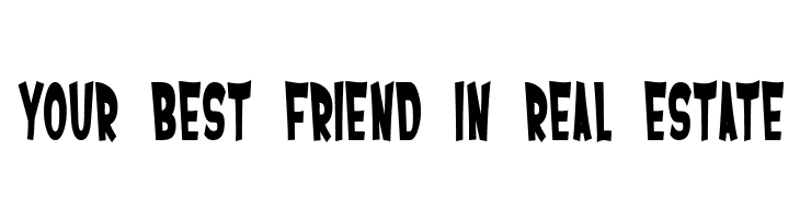 SF Ferretopia Bold  Free Fonts Download