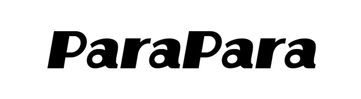 Protocol Italic  Free Fonts Download