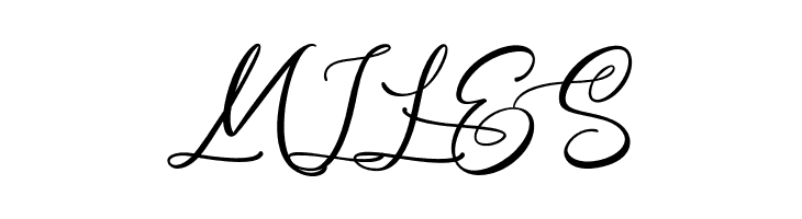 AndrianiScript  Free Fonts Download