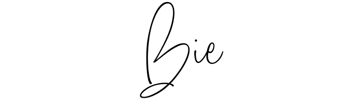 Amboera Script  Free Fonts Download