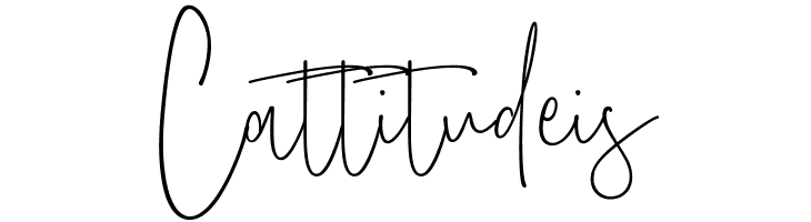 Amboera Script  Free Fonts Download