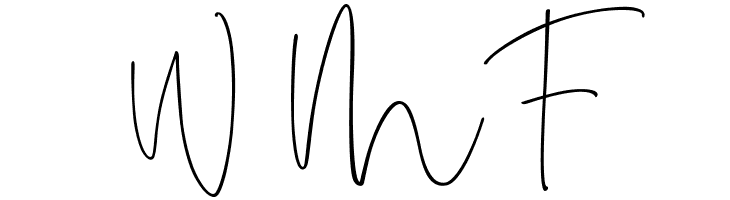 Amboera Script  Free Fonts Download