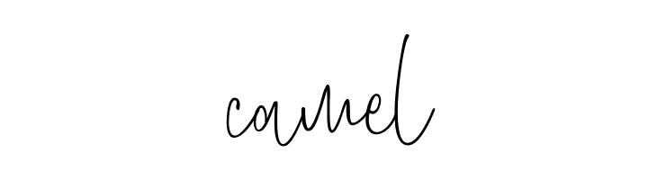 Amboera Script  Free Fonts Download