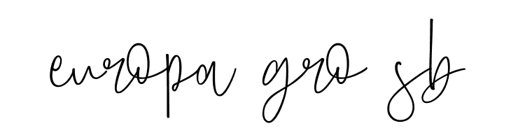 Amboera Script  Free Fonts Download