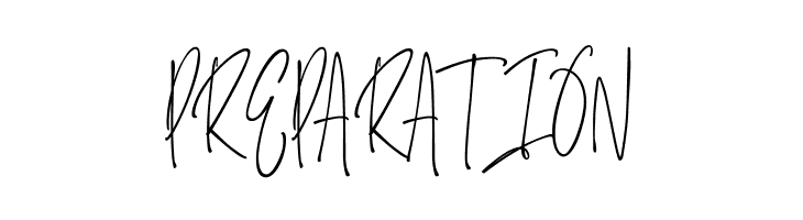 Salernitana Script  Free Fonts Download