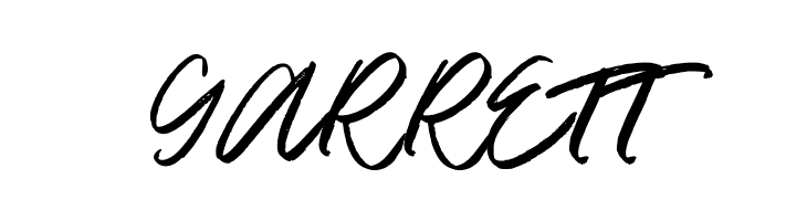 DeathZone  Free Fonts Download