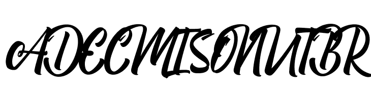 Boomerang Script  Free Fonts Download