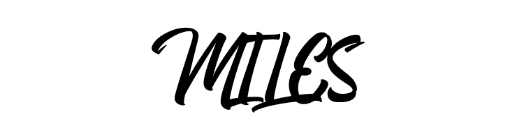 Boomerang Script  Free Fonts Download