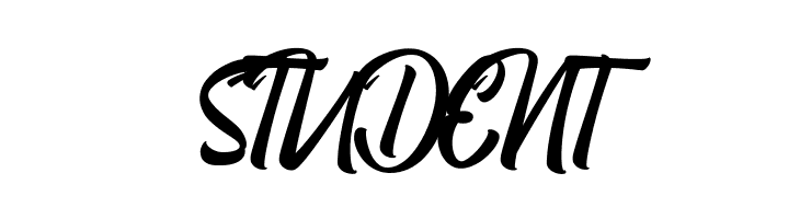 Boomerang Script  Free Fonts Download