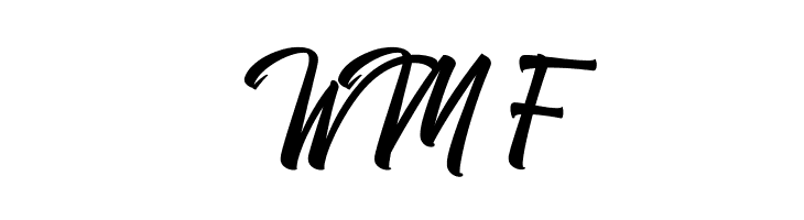 Boomerang Script  Free Fonts Download
