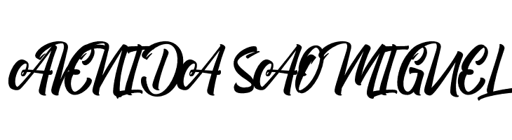 BoomerangScript  Free Fonts Download
