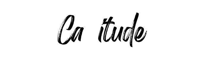 Birdrockers  Free Fonts Download