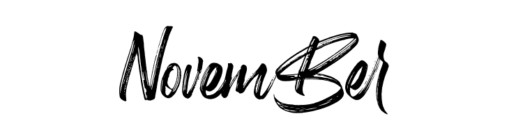 Birdrockers  Free Fonts Download