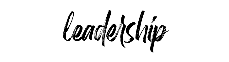 Birdrockers  Free Fonts Download