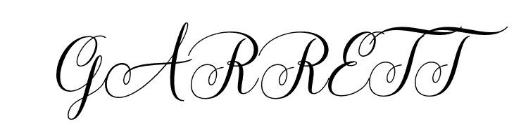 LadyAngelinaScript-Regular  Free Fonts Download