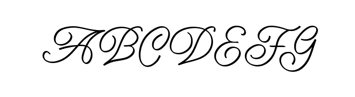 Amarillo regular script  Free Fonts Download