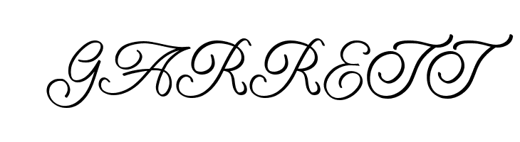 Amarillo regular script  Free Fonts Download