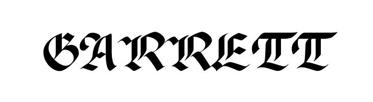 PaladinFLF  Free Fonts Download