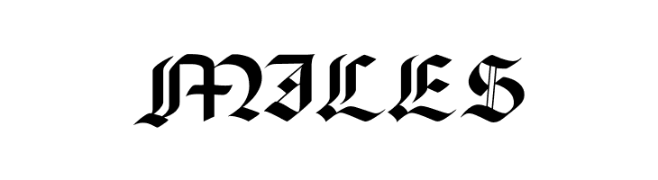 PaladinFLF  Free Fonts Download