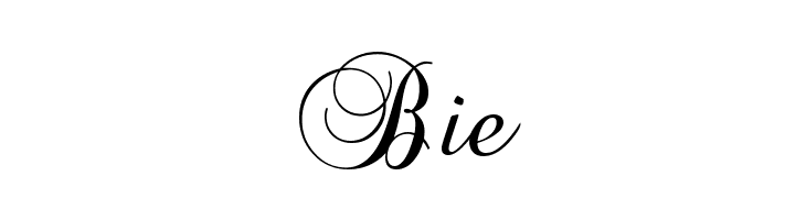 Brock Script  Free Fonts Download