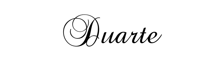 Brock Script  Free Fonts Download