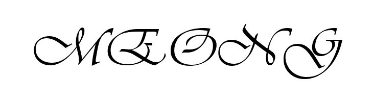 VivaldiD CL  Free Fonts Download