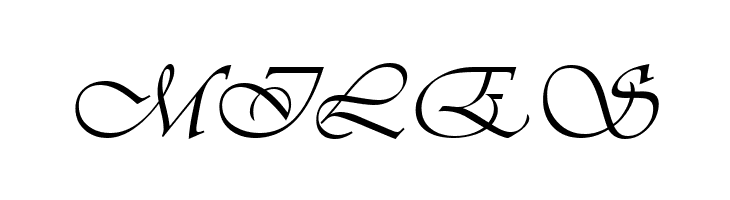 VivaldiD CL  Free Fonts Download