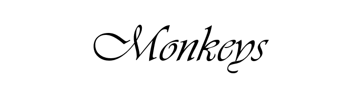 VivaldiD CL  Free Fonts Download