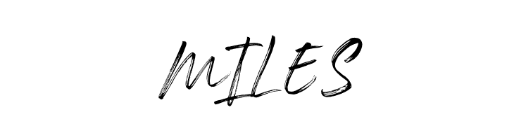 Rockness  Free Fonts Download