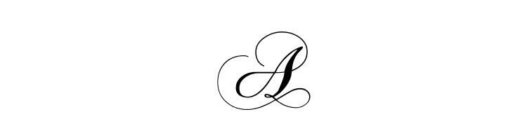 Chopin Script  Free Fonts Download