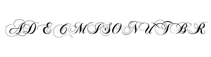 Chopin Script  Free Fonts Download